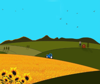 Simulare impozit teren